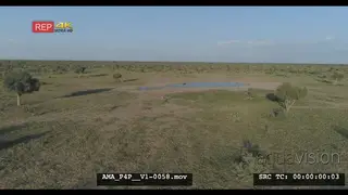 Aerial Drone over bushveld waterhole