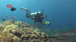 Diver swimming passing by camera and a view of an aquarium in ocean WS TRAVELING SHOT.