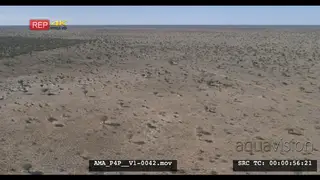 Aerial Drone over Savannah bushveld