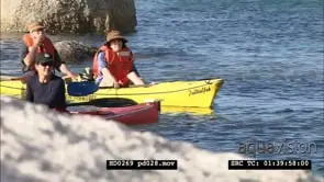 African Penguins at Boulders Beach, and kayakers