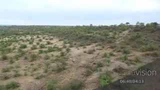 Aerial over Mashatu bushveld
