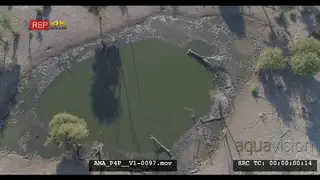 Aerial Drone over bushveld waterhole