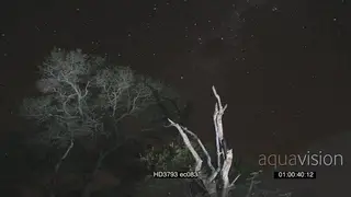 Starlapse of the night sky over the South Luangwa National Park, Time-lapse LA SCENIC TL
