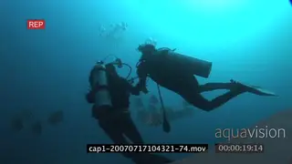 School of Longfin Batfish swimming underwater in ocean and divers filming WS TRA PAN MWS.