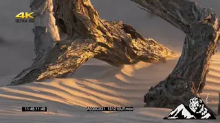 Scenic dust at Skeleton coast in Namibia SEMI DRY MS