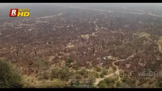 Drone Aerial of the DRY Northern Botswana - Delta Okavango, September during midday.
