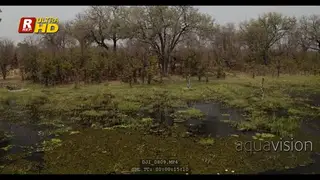 Drone Aerial of the DRY Northern Botswana - Delta Okavango during September, Midday.