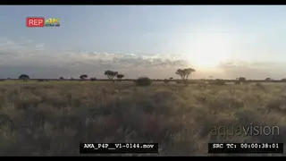 Low Aerial Drone of Savannah grassland