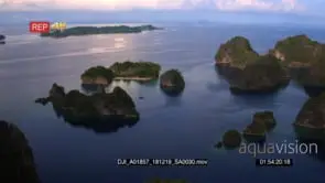 A stunning aerial shot over the sea with green lush islands in the Misool area at sunset