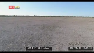 Aerial Drone over open veld