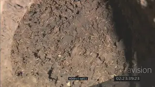 Termites crawling around in a mound CU