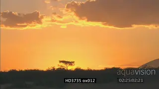 Golden African sunset over African landscape WS