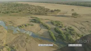 Aerial Mashatu along river channel