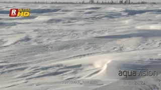 Arctic Blizzard blowing wind.