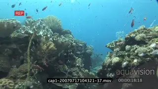 View of an aquarium in ocean SCENIC TRAVELING SHOT HAND