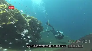 View of an aquarium in ocean and a diver swimming passing by camera SCENIC TRAVELING SHOT.