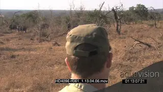 Ranger facing away from camera towards White Rhinos grazing in the distance guarding