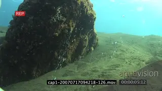 View of an aquarium in ocean SCENIC HAND