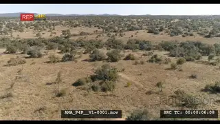 Aerial Drone pull away over bushveld