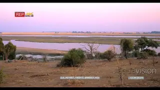 Pan across chobe river