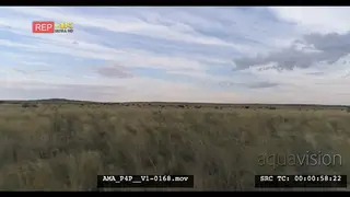 Low Aerial drone pull away over grass plain