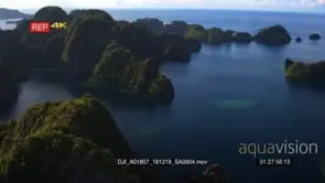 Aerial pan shot over the sea with green lush island in the misool area