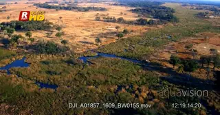 Aerial shot over the Okavango Delta.
