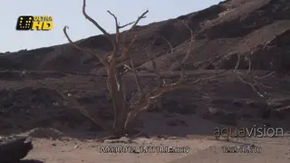 Scenic dry land at Namibian desert DRY