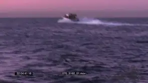 Great White Shark Breach and catching Bait During Sunset