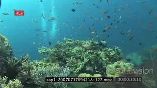 View of an aquarium in ocean and divers swimming SCENIC TRA PAN WS HAND