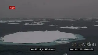 Panning Shot of Ice Floes.