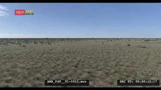 Low Drone Aerial over bushveld grass