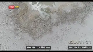 Aerial Drone salt-pan waterhole