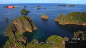 Stunning aerial shot over the sea with green lush island in the misool area