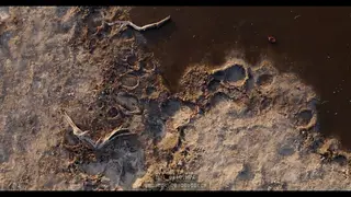 Drone Aerials of dry Northern Botswana during September.