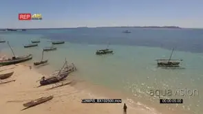 AERIAL of the Madagascar Island with fishers preparing to go for fishing and a boat…