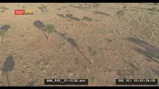 Aerial Drone over Savannah grassland