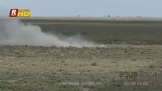 Female Cheetah chasing,taking down a Thompson Gazelle during daytime.