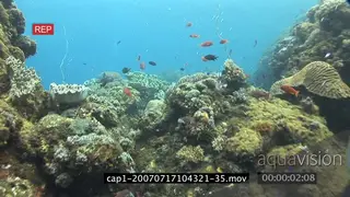View of an aquarium in ocean and a diver swimming SCENIC TRAVELING SHOT WS HAND