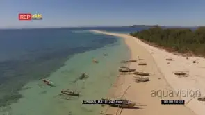AERIAL of boats on the Madagascar Island GOOD LIGHT