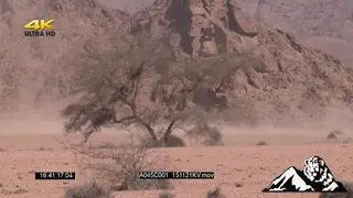Scenic dry land at the Namibian desert DRY LS