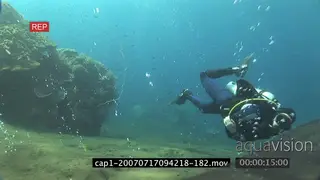 Diver swimming in an aquarium in ocean passing by camera WS TRA MS HAND