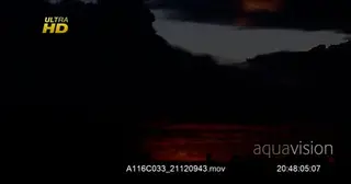XWS-Red Silhouette of a herd of Black Wildebeest grazing on grass.