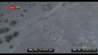 Tilted down Aerial Drone African lioness walking over salt-pan