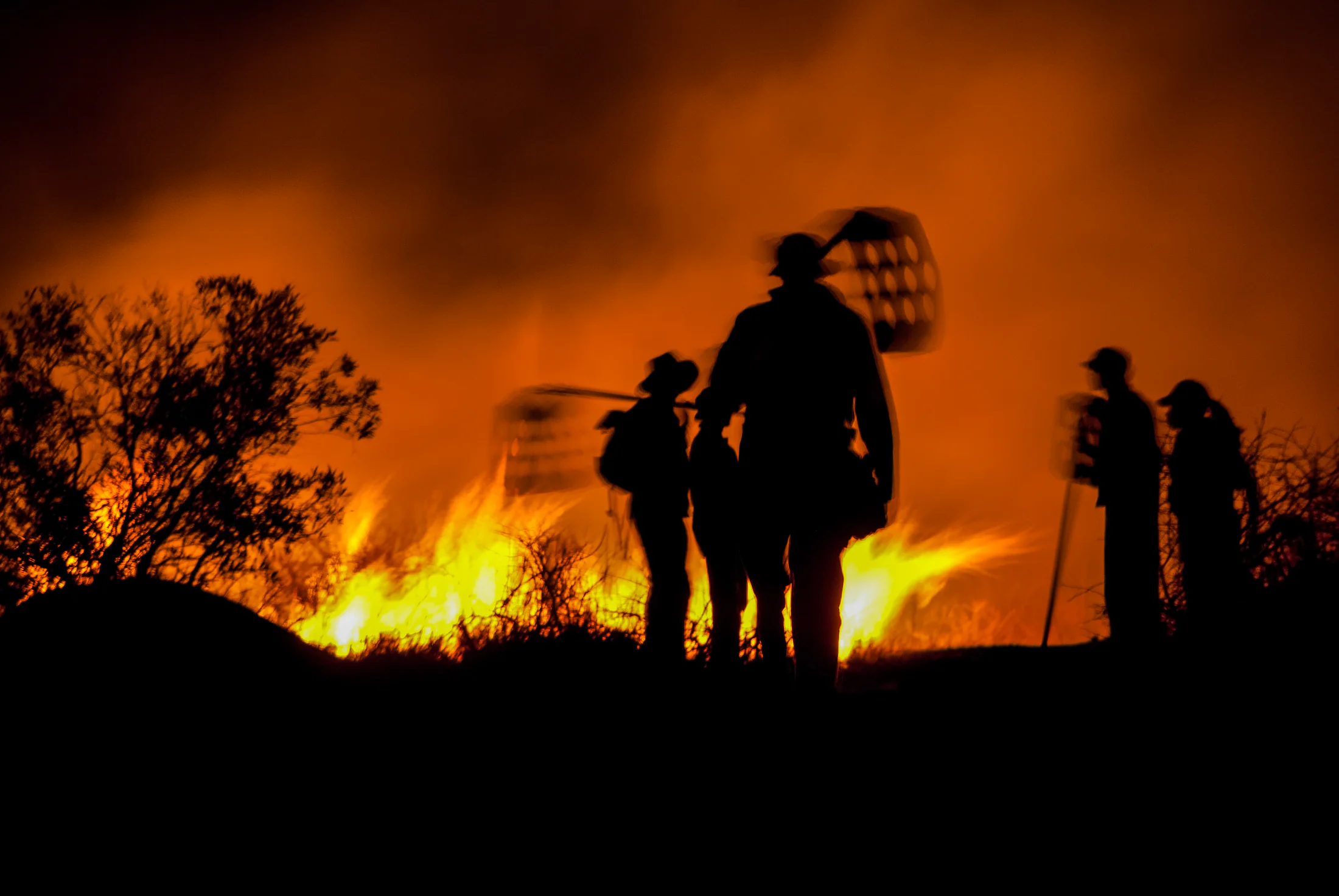 Silhouettes of a film crew working near a bush fire at night