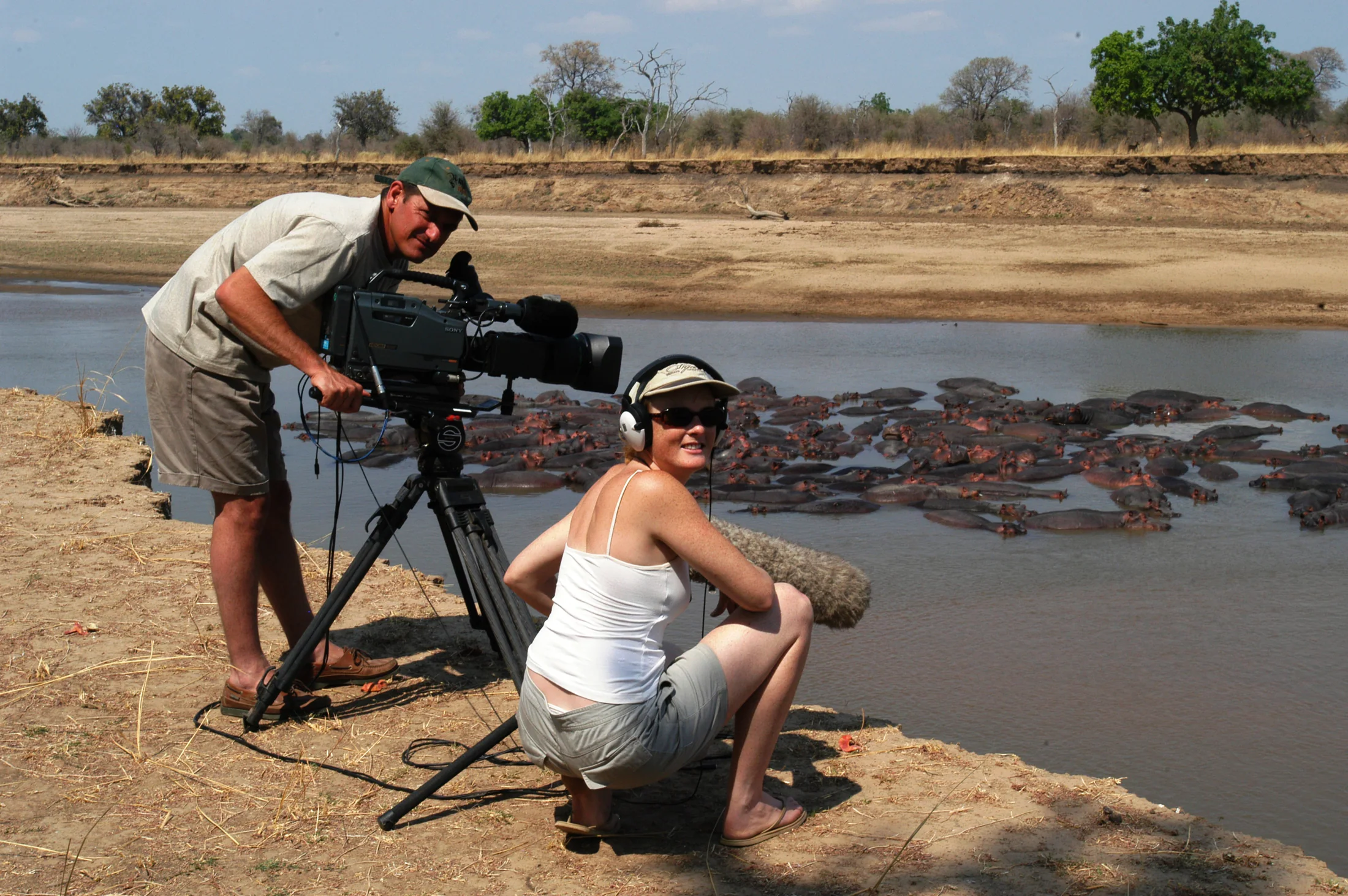 Film crew recording a pod of hippos at a river